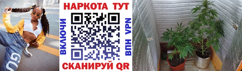 Где купить наркотики Вятские Поляны Гашиш Альфа ПВП Мефедрон Кокаин