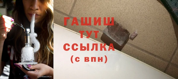 молекула духа Богородицк