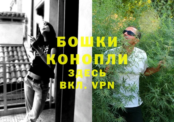 молекула духа Богородицк