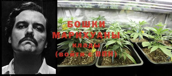 прущие грибы Богданович