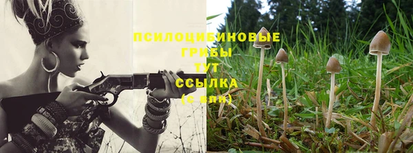 молекула духа Богородицк