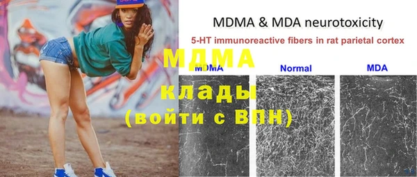 молекула духа Богородицк