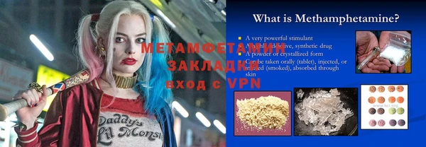 прущие грибы Богданович
